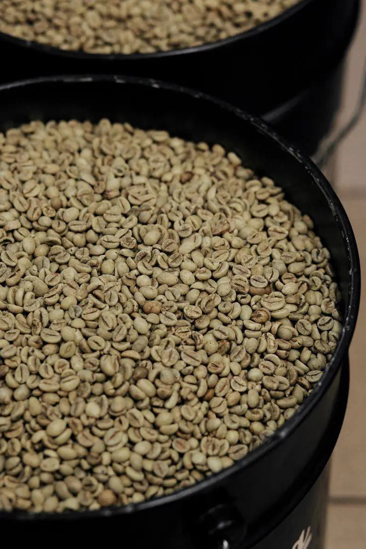 Ben Ethiopian Jama Fresh