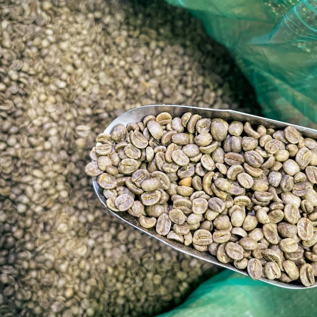 Ben Yougandi Fresh (Aklamwi)