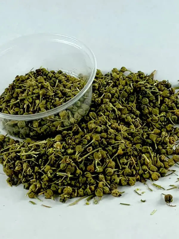 Tena’dam ጤና አዳም – Ethiopian Garden Rue (Herb of Grace) MEKAZON