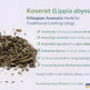 Koseret (Lippia abyssinica) – Ethiopian Aromatic Herb for Traditional Cooking (200g) MEKAZON