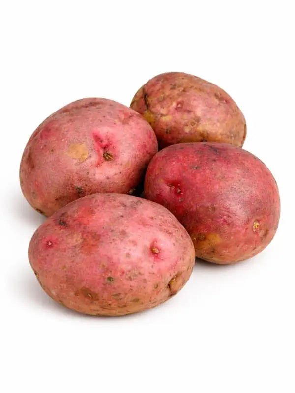 Red Pontiac Seed Potatoes from Uganda (Per Kg) – Fresh & Naturally Grown MEKAZON