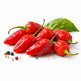Fresh Pepe Chili 5g UAE | African Hot Pepper – Mekazon MEKAZON MEKAZON