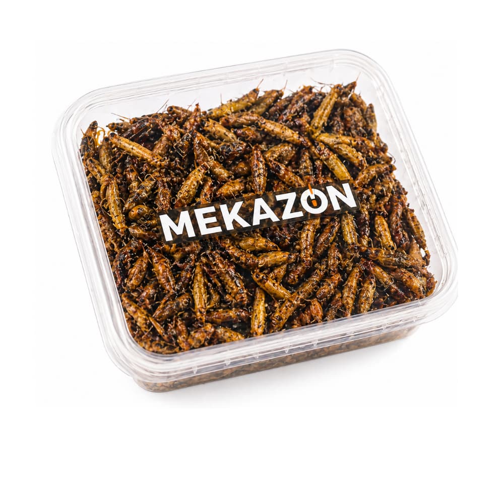Enseenene (Nsenene) Fried Grasshoppers – Ugandan Delicacy | Mekazon UAE